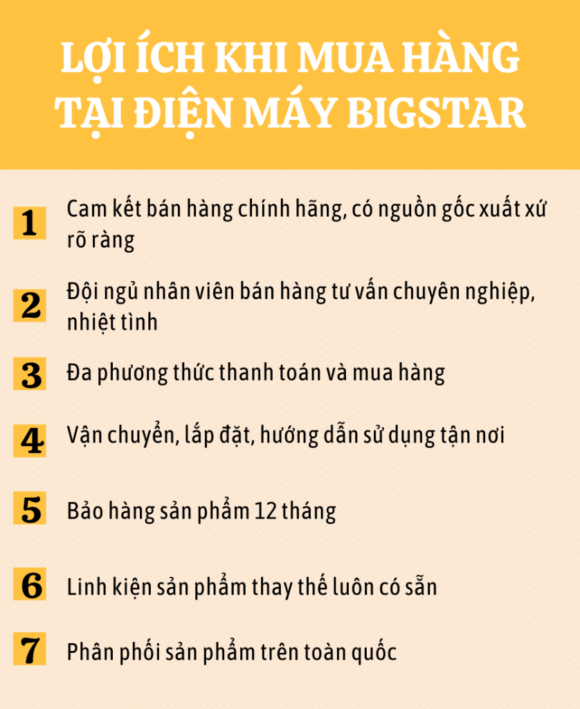 Tủ nấu cơm công nghiệp BigStar