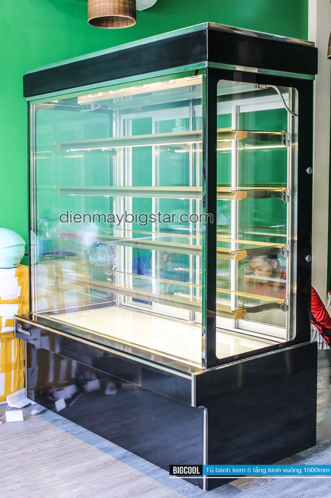 Tủ nấu cơm công nghiệp BigStar