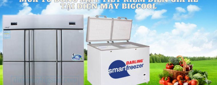 Mua tủ đông mát tiết kiệm điện giá rẻ tại Điện Máy Bigcool