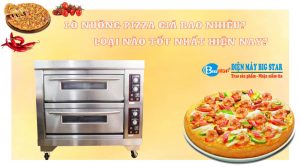 lo-nuong-pizza-gia-bao-nhieu-loai-nao-tot-nhat-hien-nay