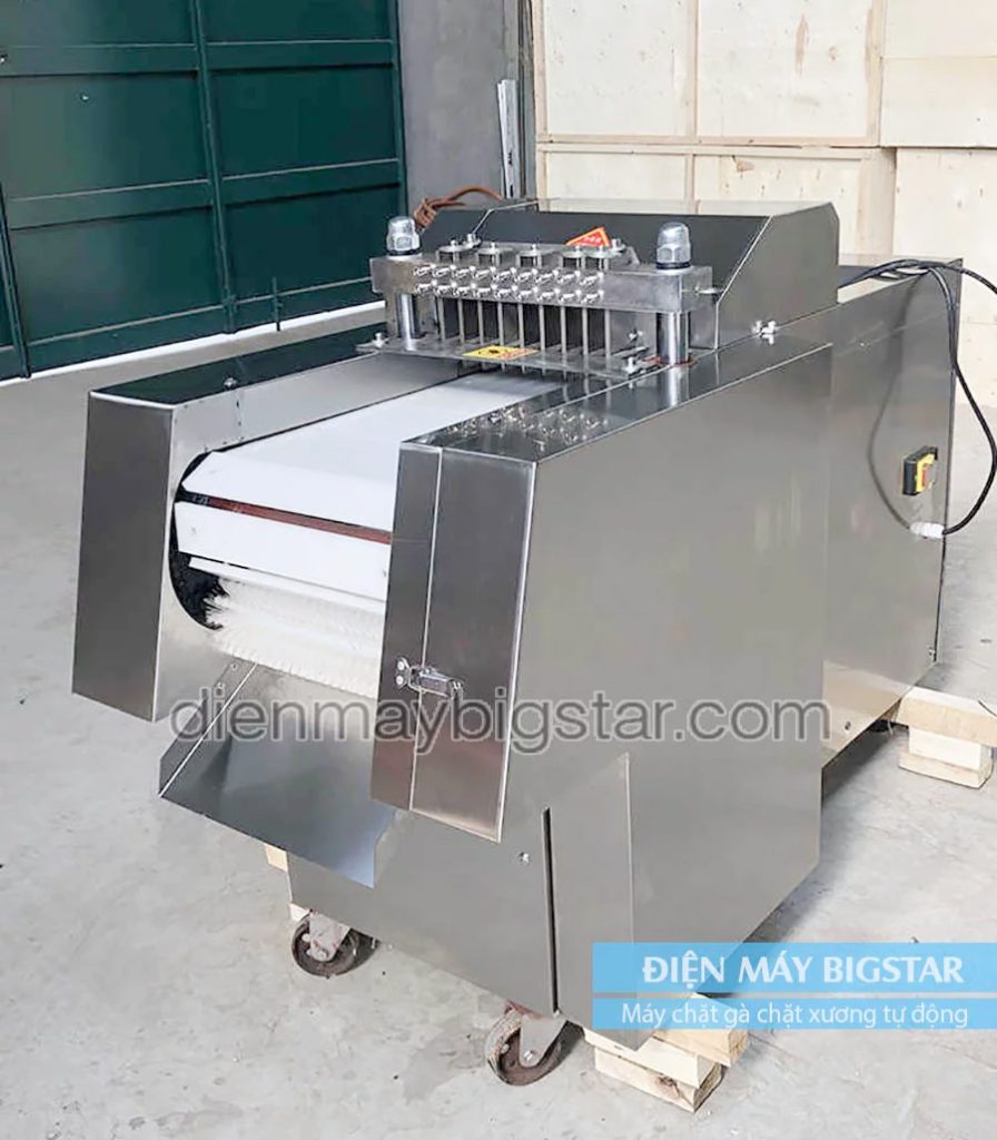 Tủ nấu cơm công nghiệp BigStar