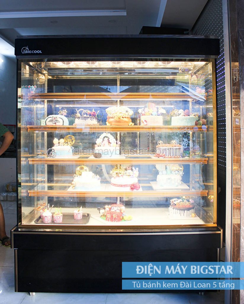 Tủ nấu cơm công nghiệp BigStar