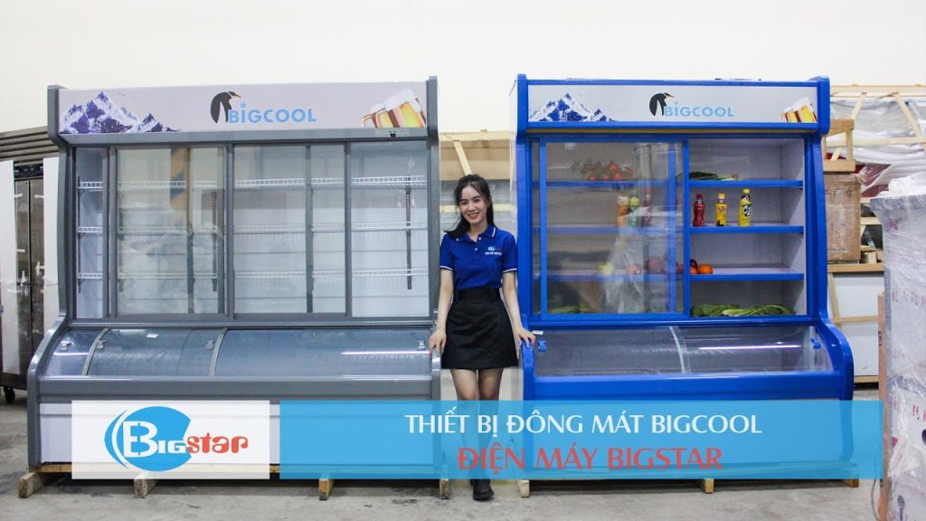 Tủ nấu cơm công nghiệp BigStar
