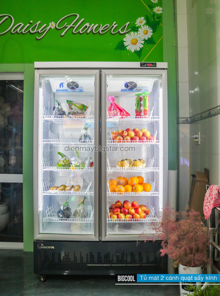 Tủ nấu cơm công nghiệp BigStar
