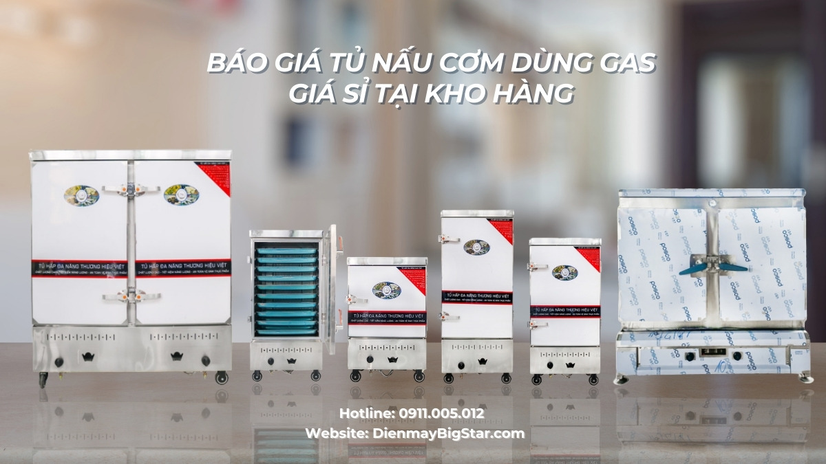 tủ nấu cơm dùng gas